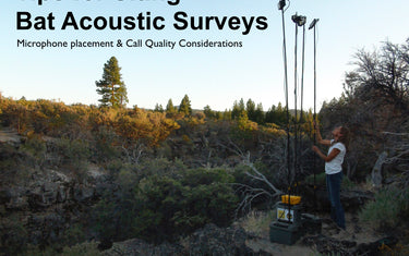 Tips for Siting Bat Detectors