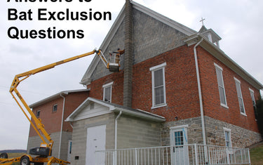 Real Questions on Excluding Bats From Our Customers
