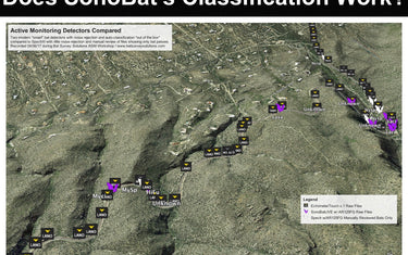 Does SonoBat's species classification work?