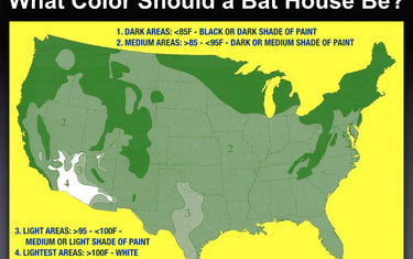 What Color Should I Paint My Bat House?