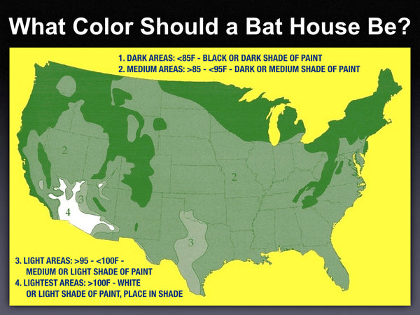 What Color Should I Paint My Bat House?
