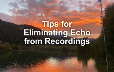 Controlling Echo: The Scourge of Bat Acoustic Recording