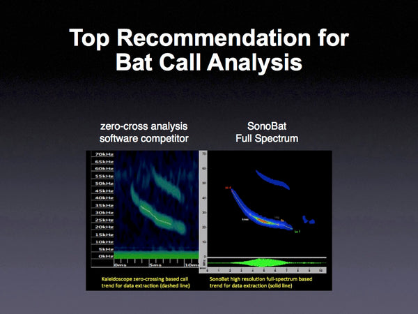 Top Recommendation for Bat Call Analysis