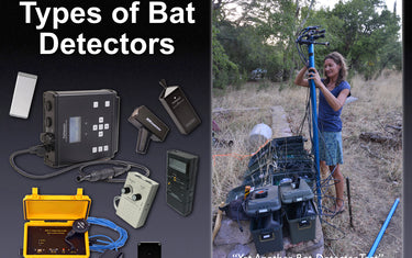 Types of Bat Detectors