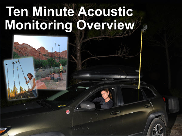 Ten Minute Bat Acoustic Monitoring Overview