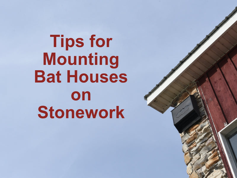 How to Mount a Bat House on Stonework Bat Conservation and Management, Inc.