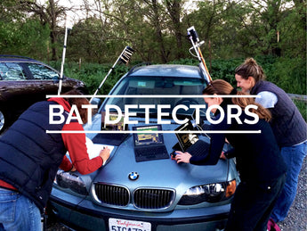 Bat Detectors - USB Microphones