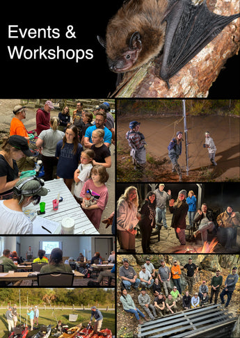 Batty Events and Training Opportunities