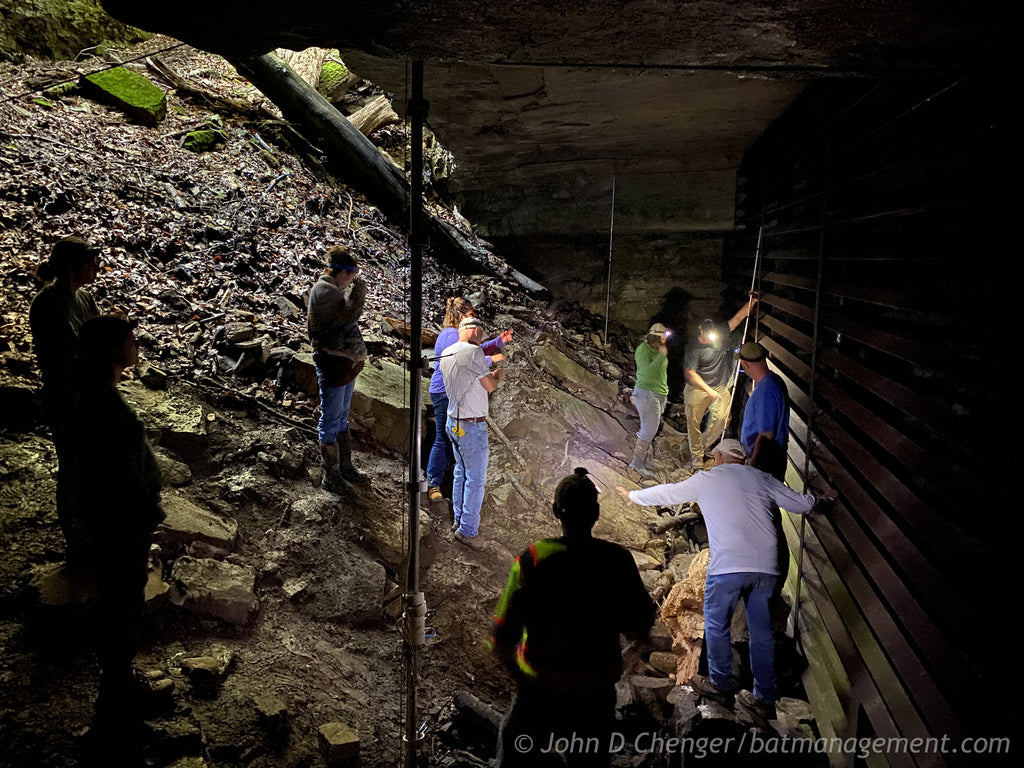 Bat Capture & Handling Workshop (KY) August 27-31, 2024