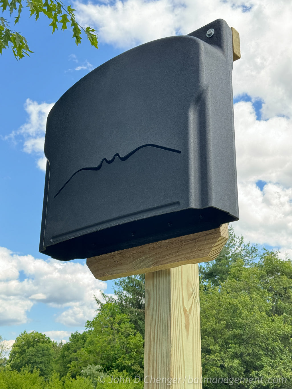 ColonyCondo - 5 chamber, no maintenance resin exterior, built by bat biologists