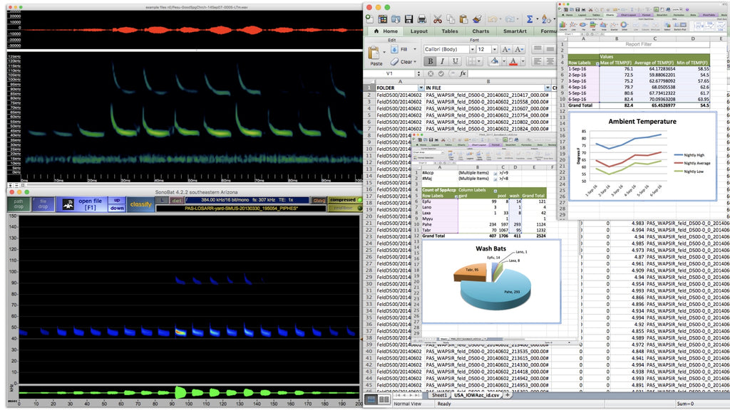 Acoustic Data Management - Carlisle, PA & Online March 5-6, 2024