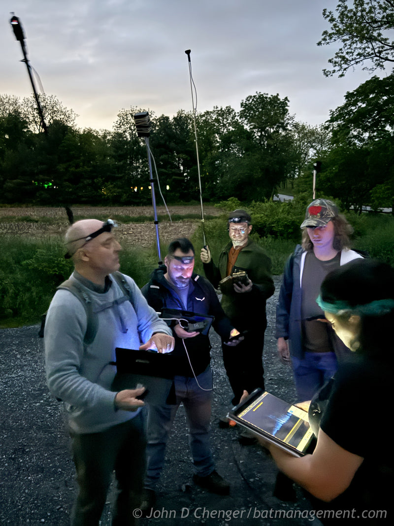 Bat Acoustic Workflow and Eastern Call ID Workshop - Carlisle, PA & Online October 8-10, 2024