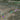 Transect - App for Visualizing Mobile Transect Data