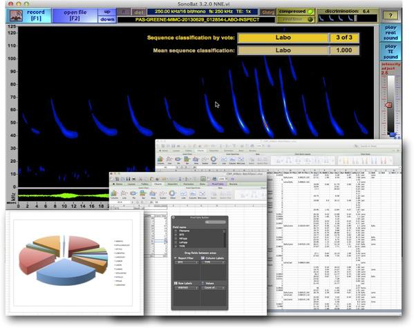 Bat Acoustic Data Post Processing and Manual Vetting