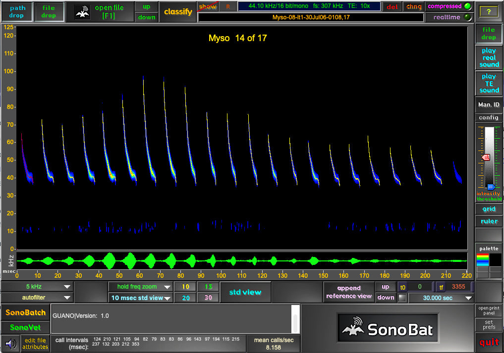 SonoBat 4 North America