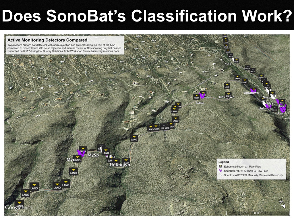 Does SonoBat's species classification work?
