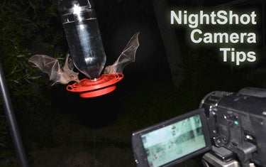 NightShot Camera Recommendations and Tips