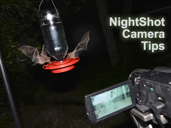 NightShot Camera Recommendations and Tips
