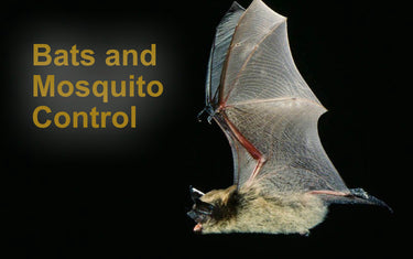 Bats and Mosquito Control