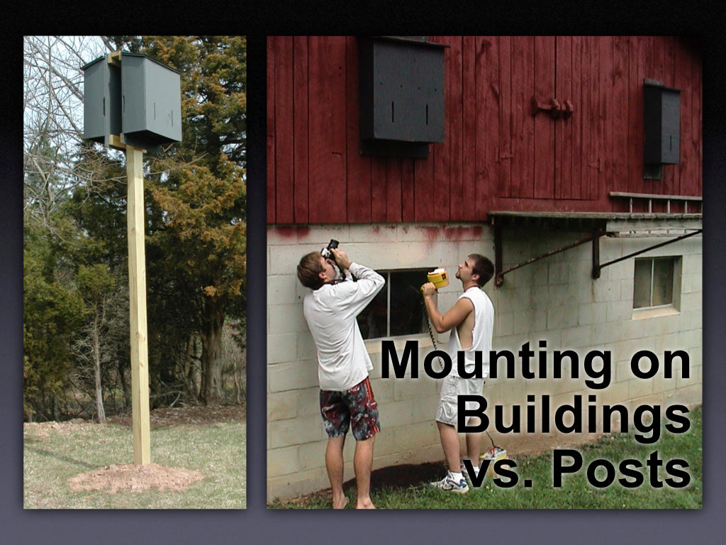 Mounting a Bat House on a Post vs. a Building