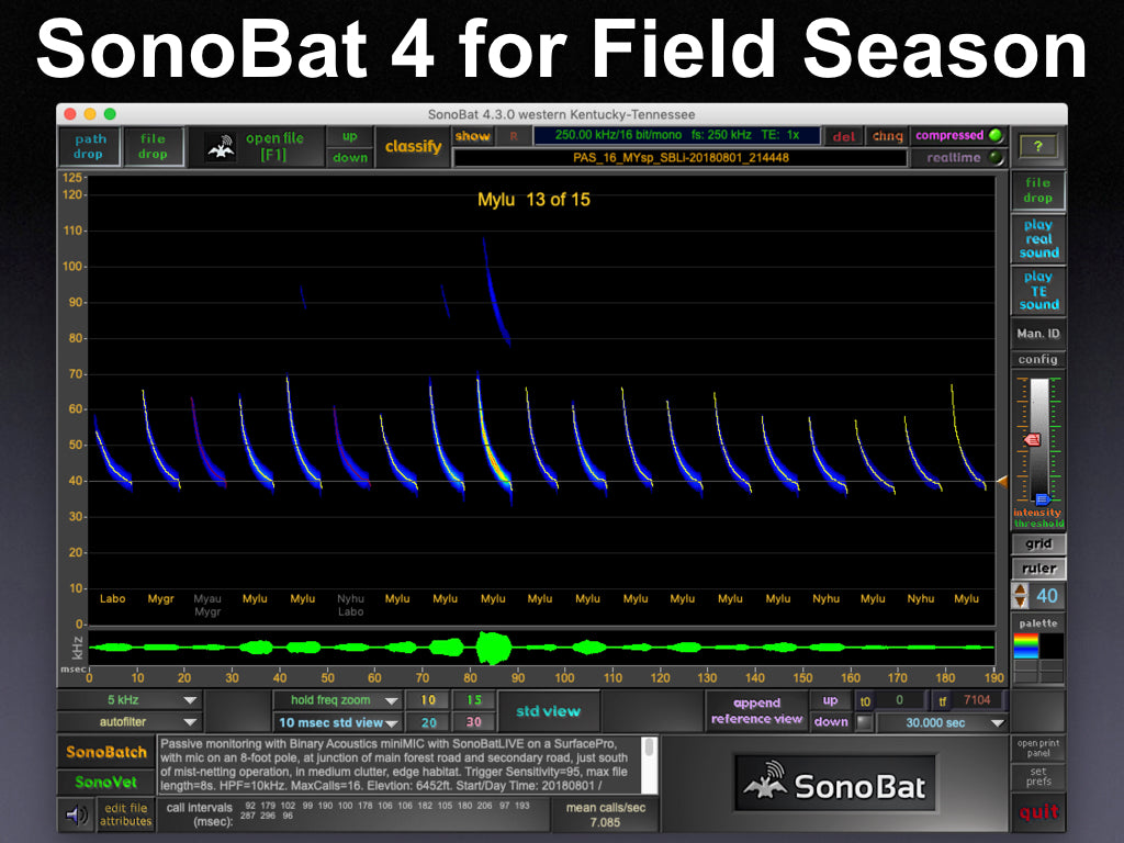 SonoBat v.4.3 - Its what you need for next Field Season!