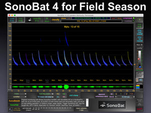 SonoBat v.4.3 - Its what you need for next Field Season!