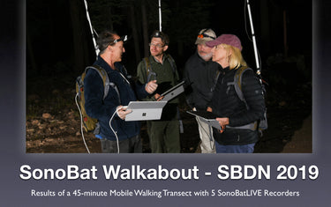 SonoBat Walkabout - SBDN 2019