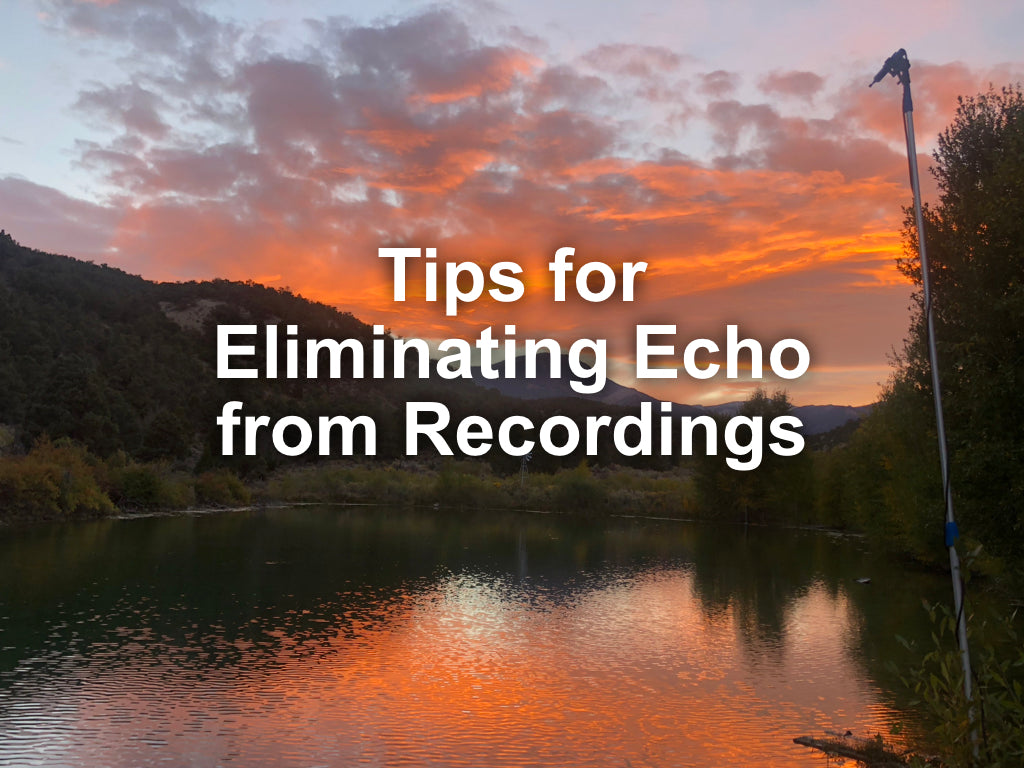 Controlling Echo: The Scourge of Bat Acoustic Recording