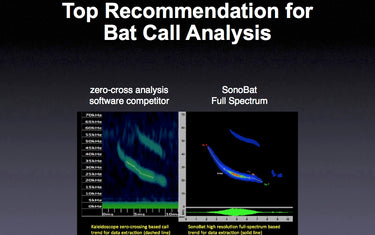 Top Recommendation for Bat Call Analysis