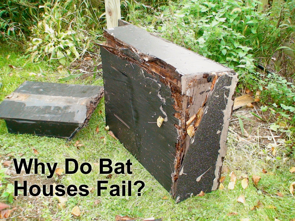 Why Do Some Bat Houses Fail?