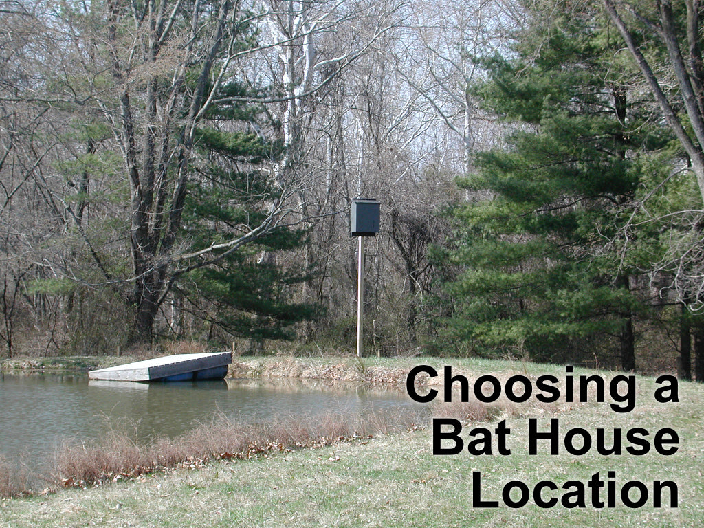 How to Choose a Bat House Location – Bat Conservation and Management, Inc.