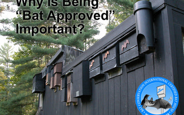 Why is "Bat Approved" Important?