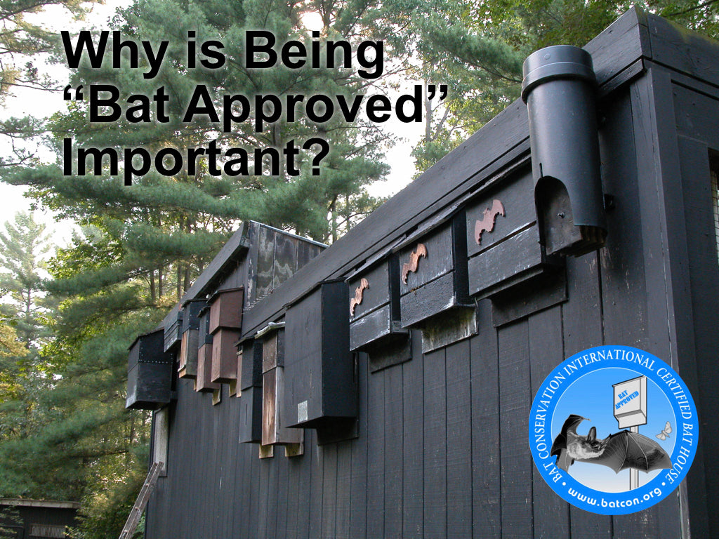 Why is "Bat Approved" Important?