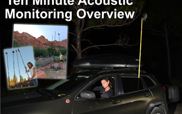 Ten Minute Bat Acoustic Monitoring Overview