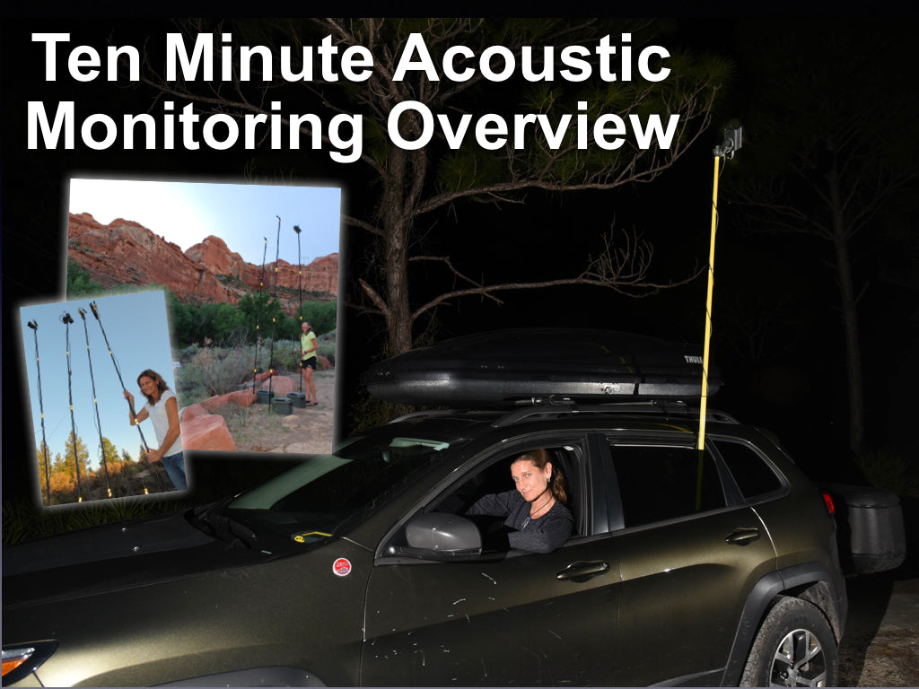 Ten Minute Bat Acoustic Monitoring Overview