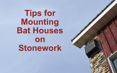 How to Mount a Bat House on Stonework