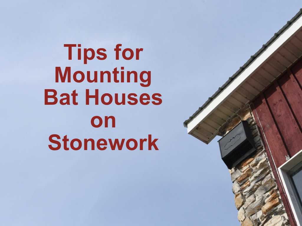 How to Mount a Bat House on Stonework