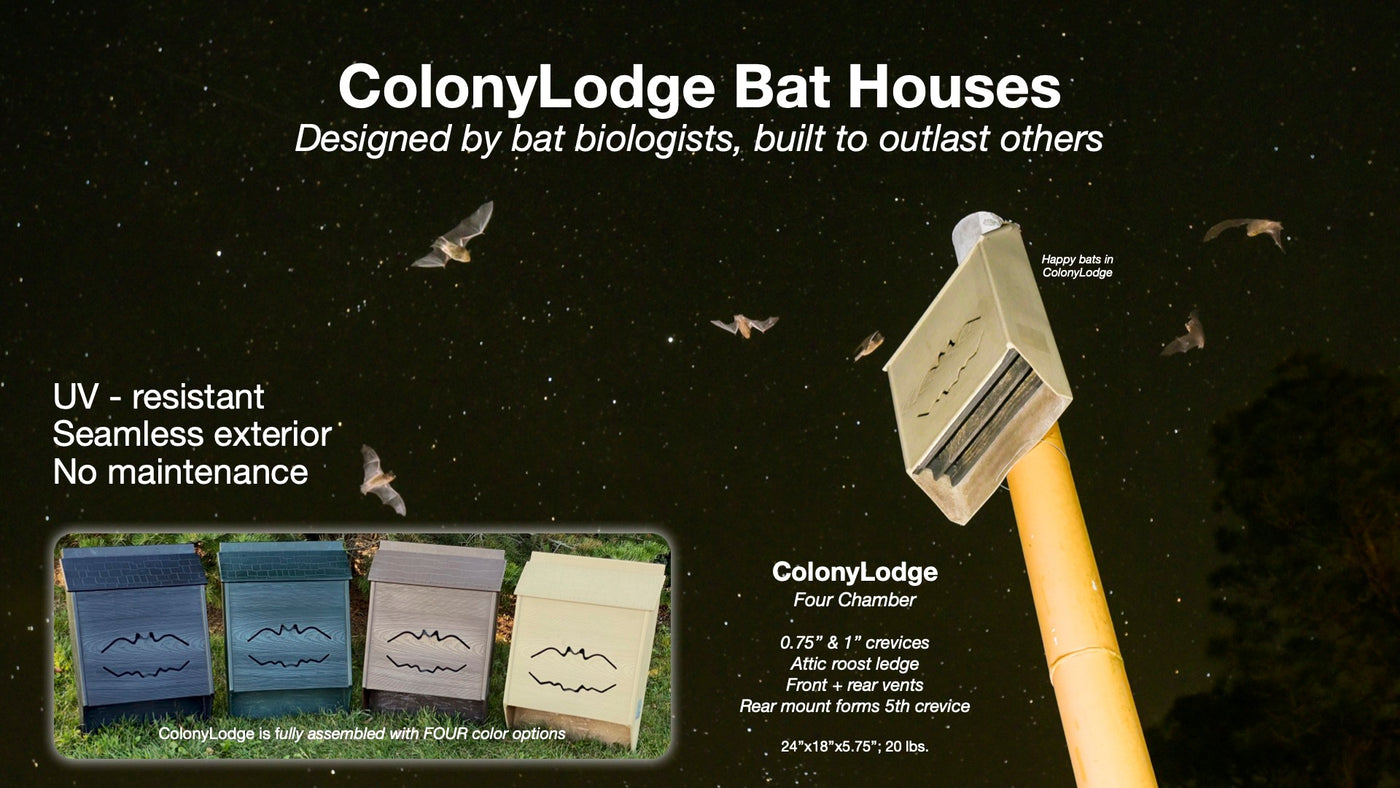 ColonyLodge Super Duty Exterior Bat House