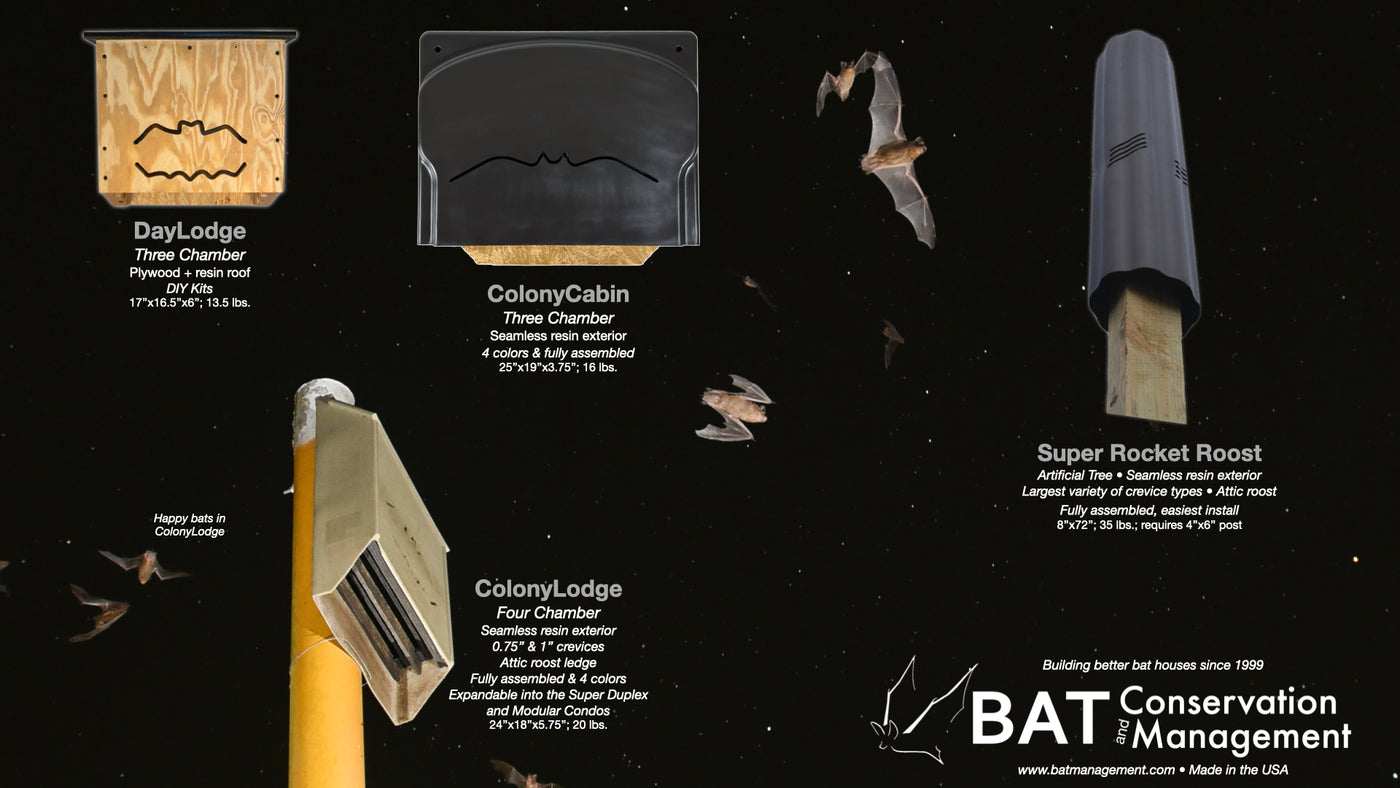 Backyard Bat Houses - Nursery Bat Houses - Rocket Boxes