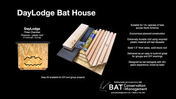 best bat house