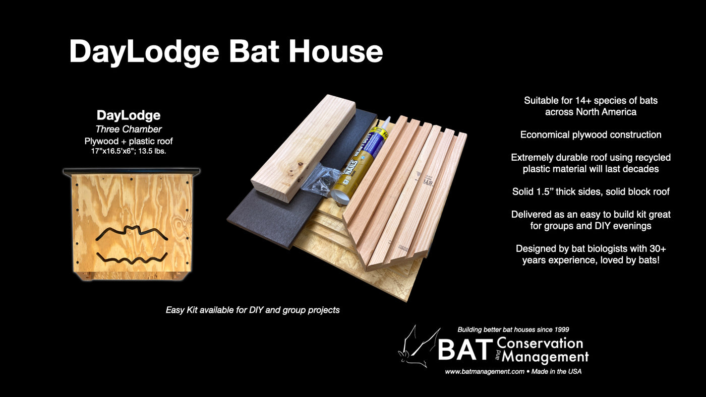 DayRoost and DayLodge Bat Houses