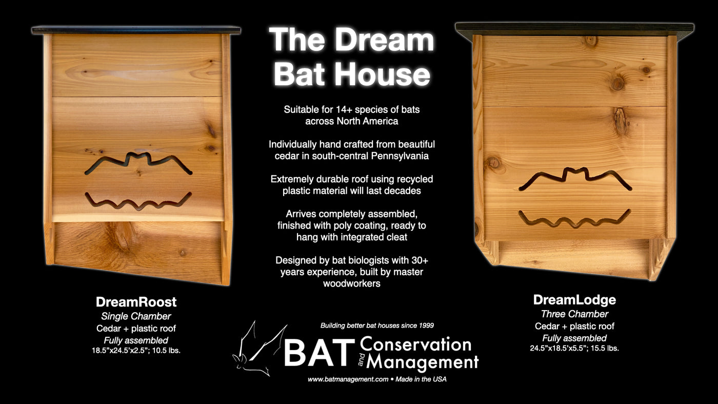 Dreamy Bat Houses