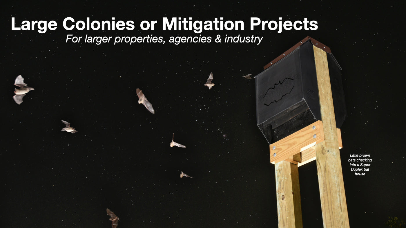 Big Bat Houses for Mitigation, Sanctuaries, or Large Colonies