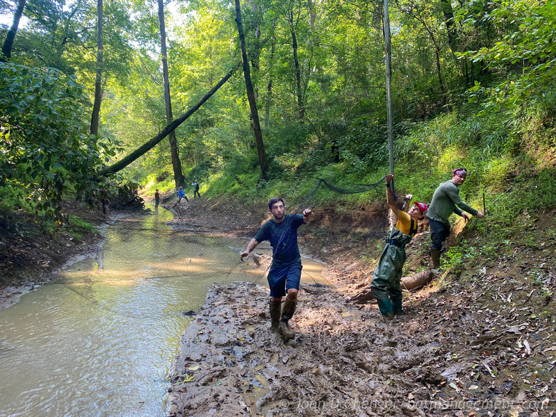 Bat Capture, Handling, and Radio Telemetry Workshop 2024