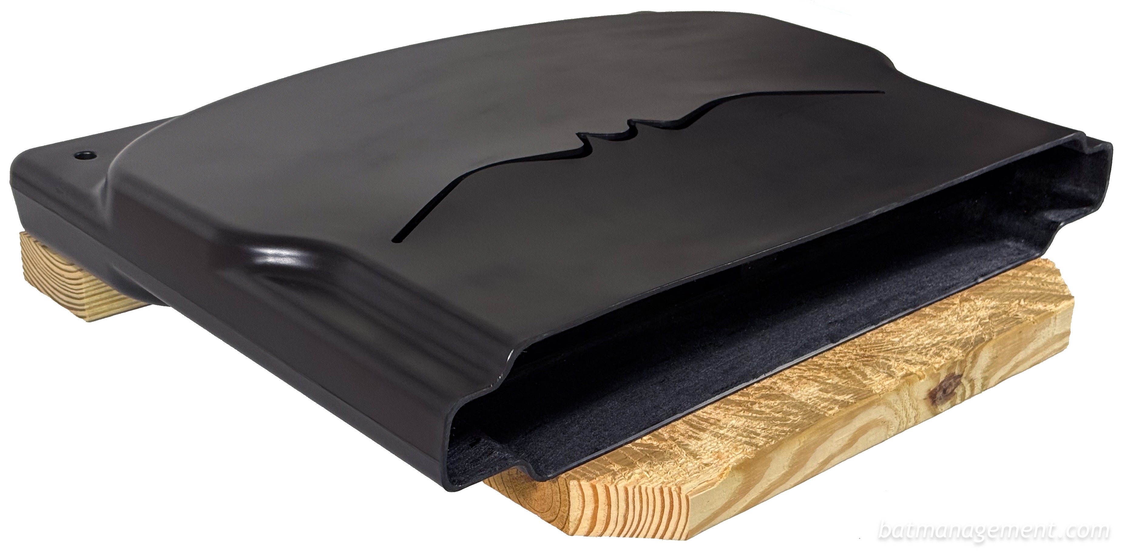 Bat Management Bat Conservation and Management – Bat Conservation and Management, Inc.