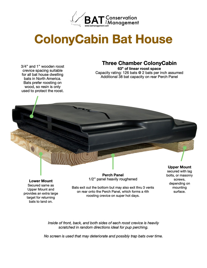 Bat Management ColonyCabin - Resin Shelled 3 Chamber Bat House – Bat Conservation and ...
