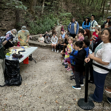Public Bat Day & Evening Bat Capture Event - Mammoth Cave KY, Sept 5