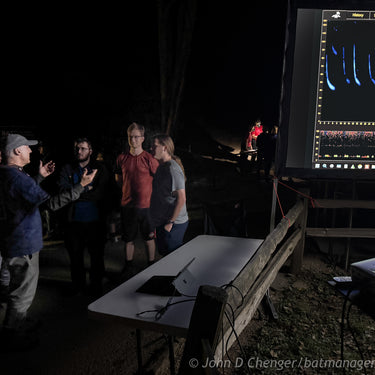 Public Bat Day & Evening Bat Capture Event - Mammoth Cave KY, Sept 5