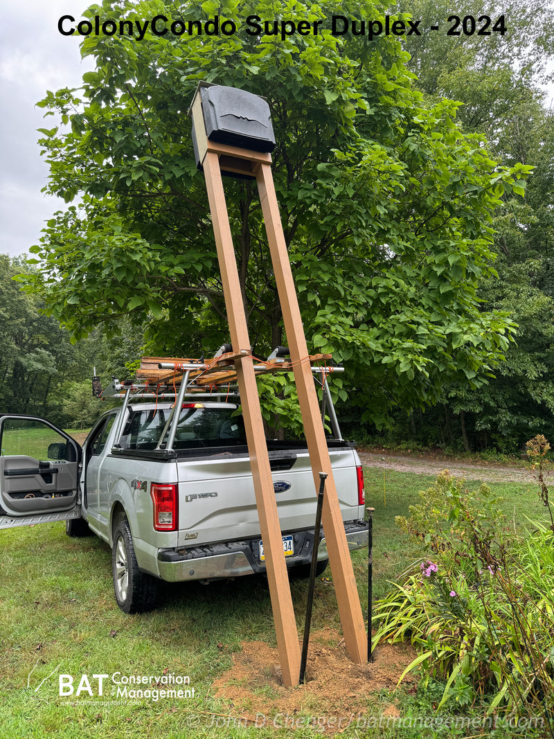 ColonyCondo Super Duplex Bat House