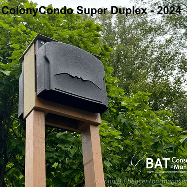 ColonyCondo Super Duplex - 15 chamber resin